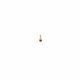 Single Ruby Charm Pendant | July Birthstone