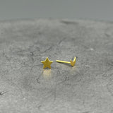 Star and Moon Studs