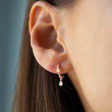 Diamonds & Dangle Hoop Earrings