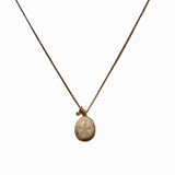 Fossilized Sand Dollar Necklace