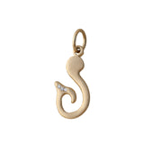 Fish Hook Charm