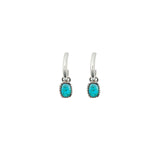 Turquoise Mesa Frame Hoops