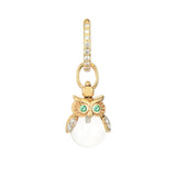 Eyes of the Night Owl Amulet Charm