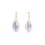 Rainbow Moonstone and Black Diamond Drop Earrings