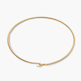 Formed Wire Anklet