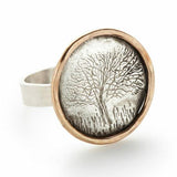 Framed Oak Tree Ring