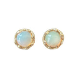 Fire Coral Opal Earrings