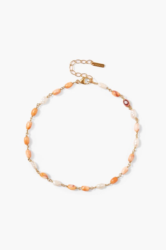 Lion Paw Mix Bead Anklet